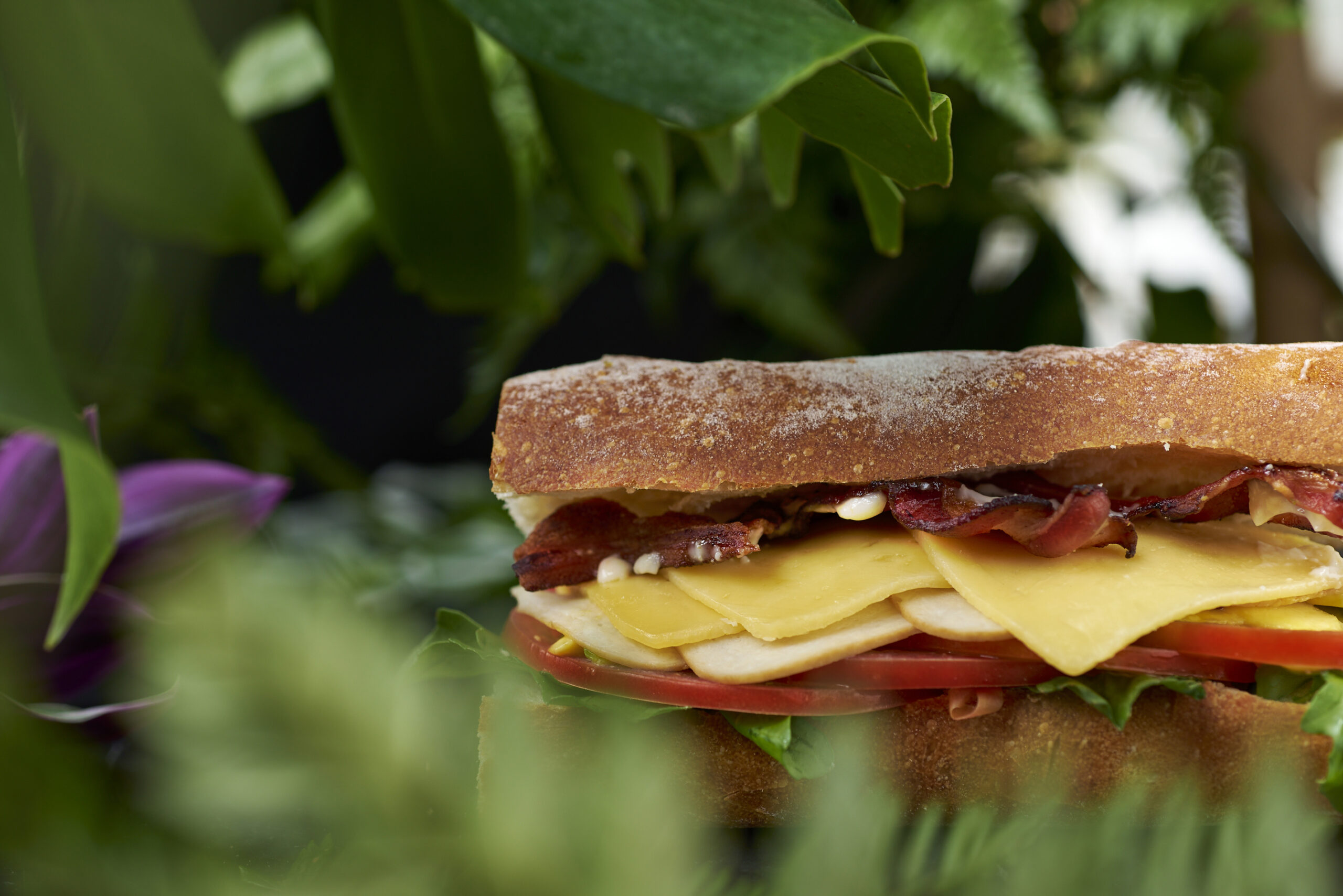 this is an image of a sandwich